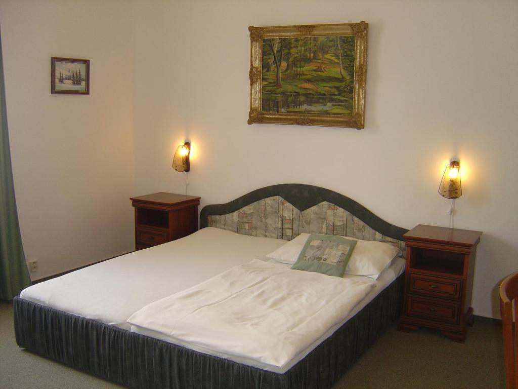Hotel Excellent Πράγα Δωμάτιο φωτογραφία
